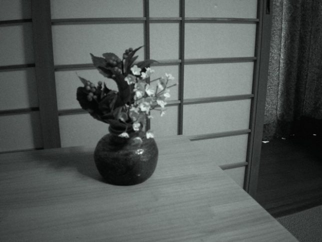 サンプル画像　B&W